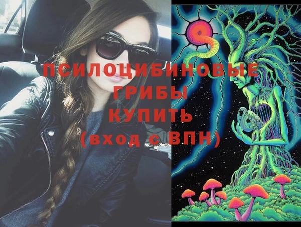 СК Абинск